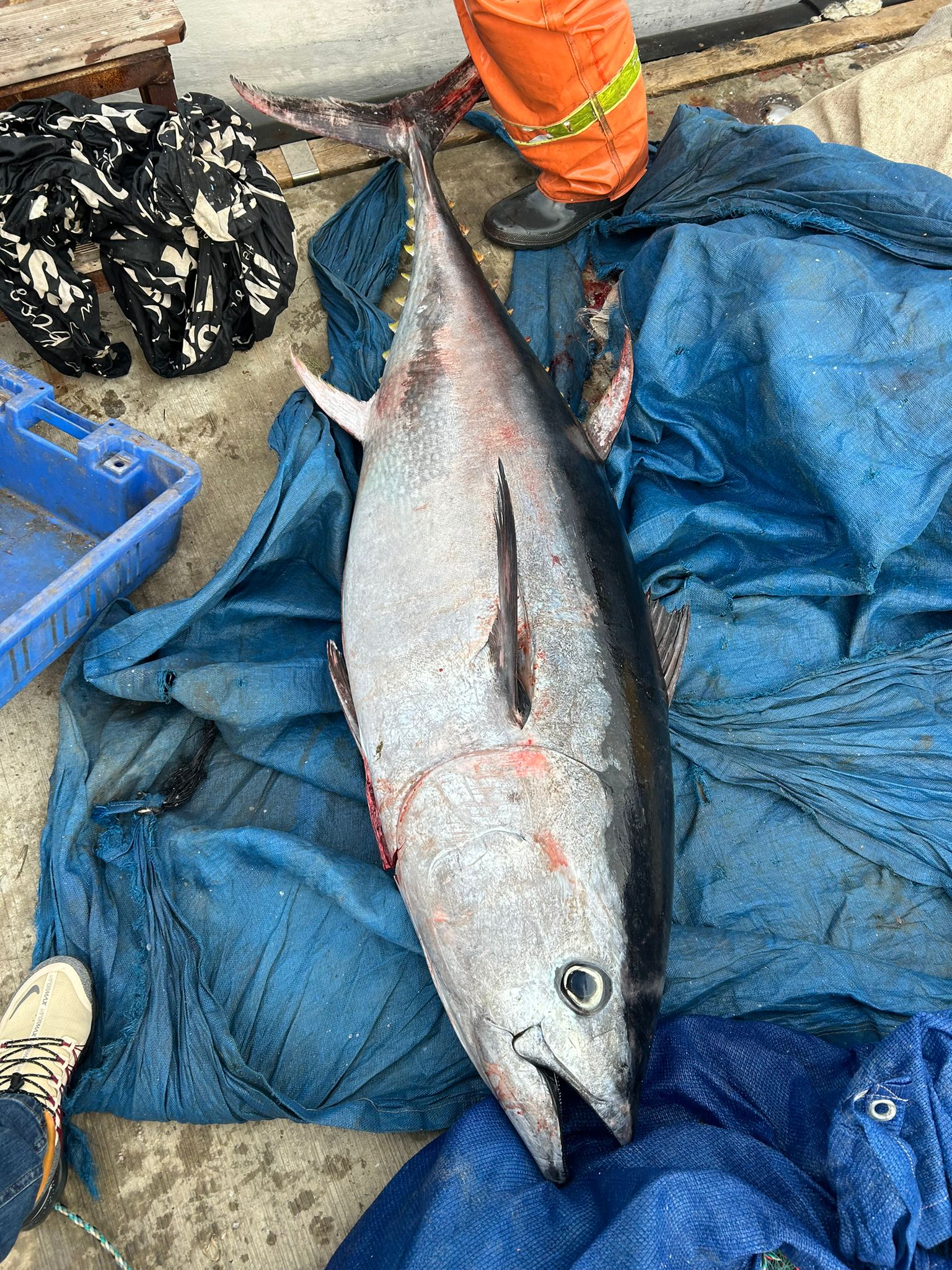 WhatsApp Image 2023-02-22 at 8.22.46 AM (2).jpeg